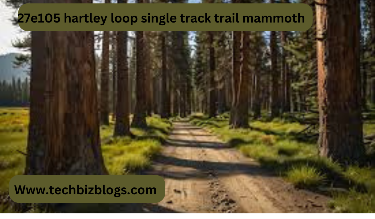 27e105 hartley loop single track trail mammoth