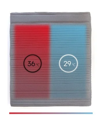 Dual zone temperature display