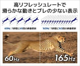 165Hz Display Comparison