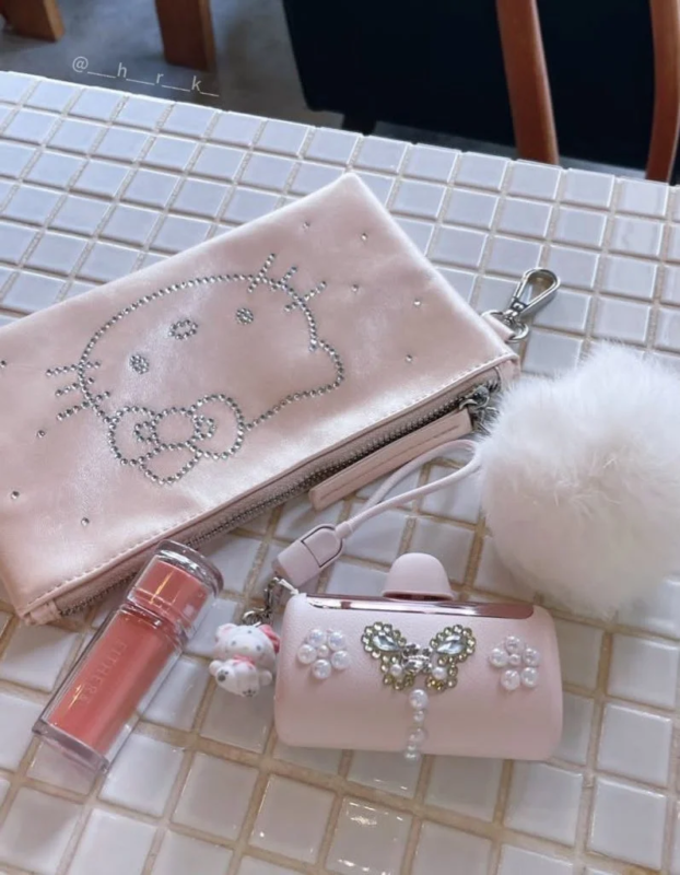 Pink pouch and fashion accessories