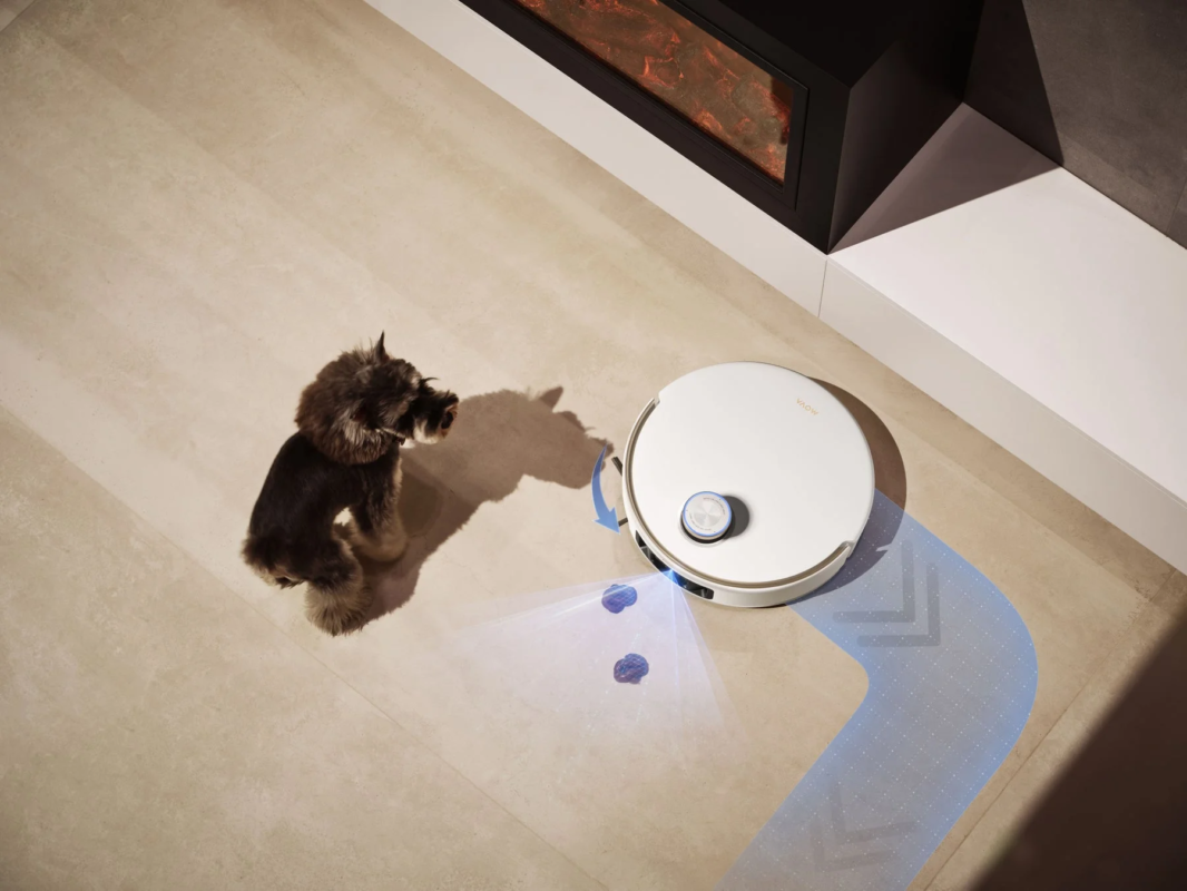 Dog watching robot vacuum from above