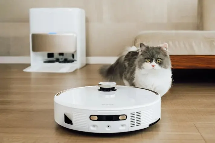 Cat with robot vacuum and docking station