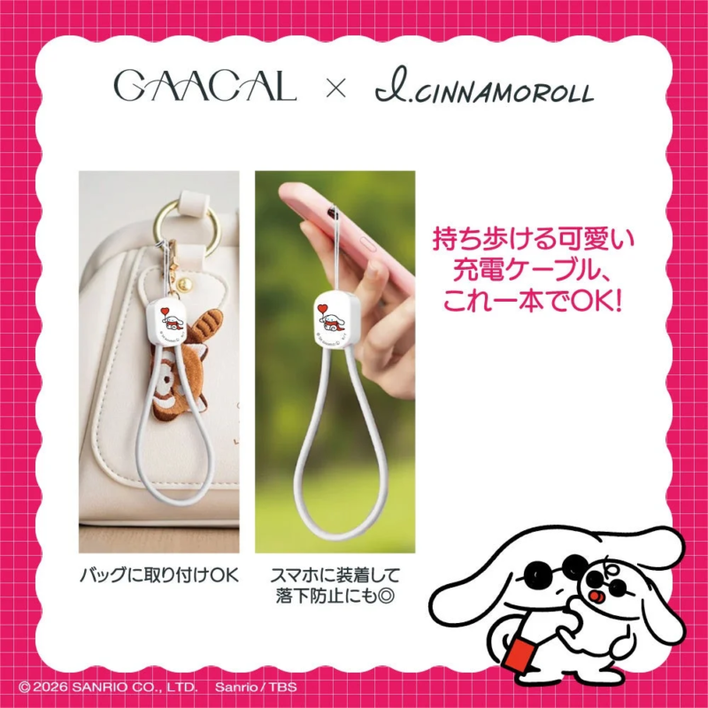 2-in-1 Fast Charging Cable 2