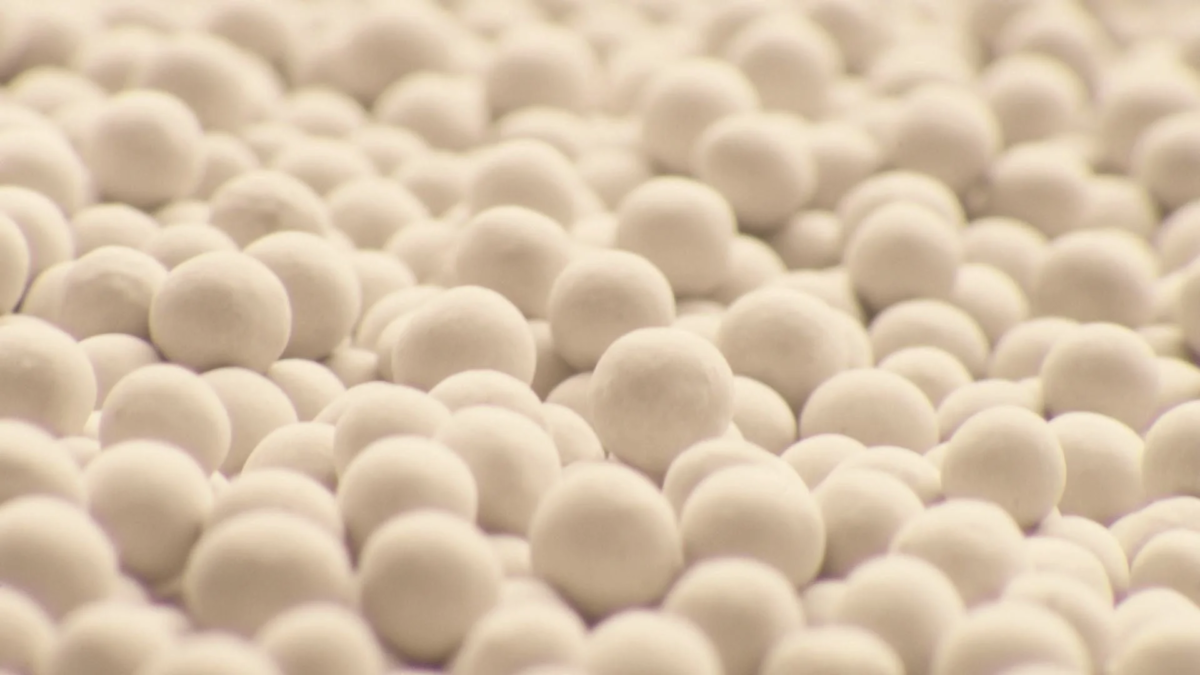 White particles, likely zeolite