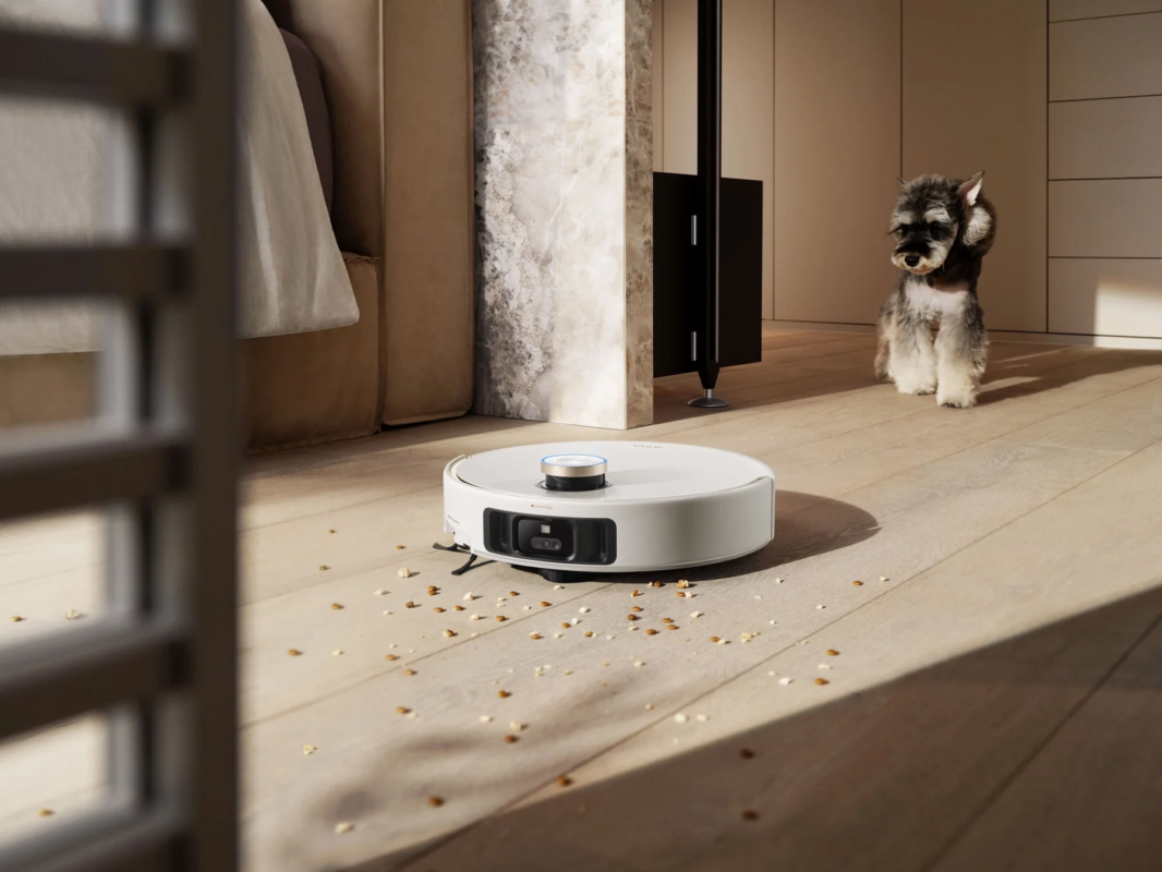 Dog watching robot vacuum