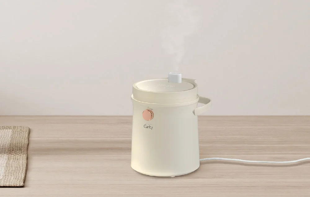 Humidifier emitting steam
