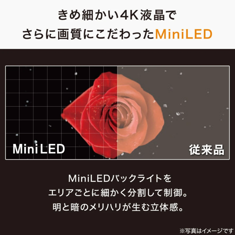 Comparison of Mini LED and conventional display showing a rose with enhanced contrast