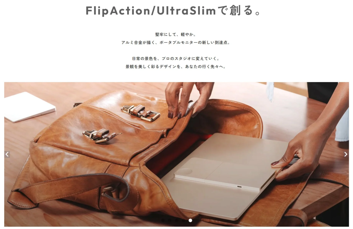 Portable Monitor in Bag