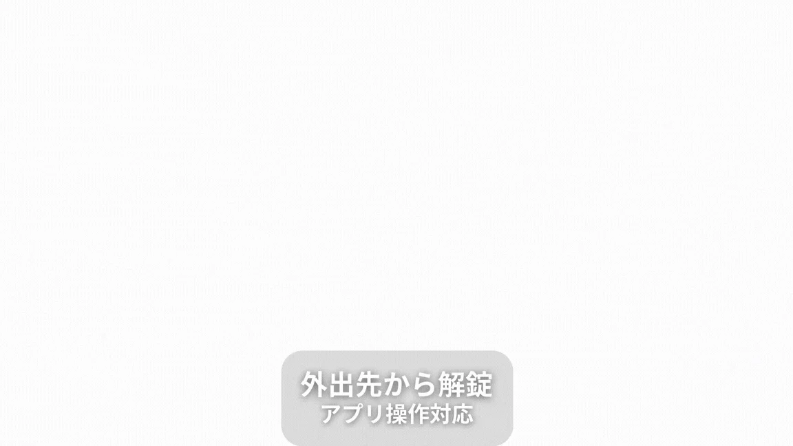 Multiple unlocking options including fingerprint, passcode, and smartphone app.