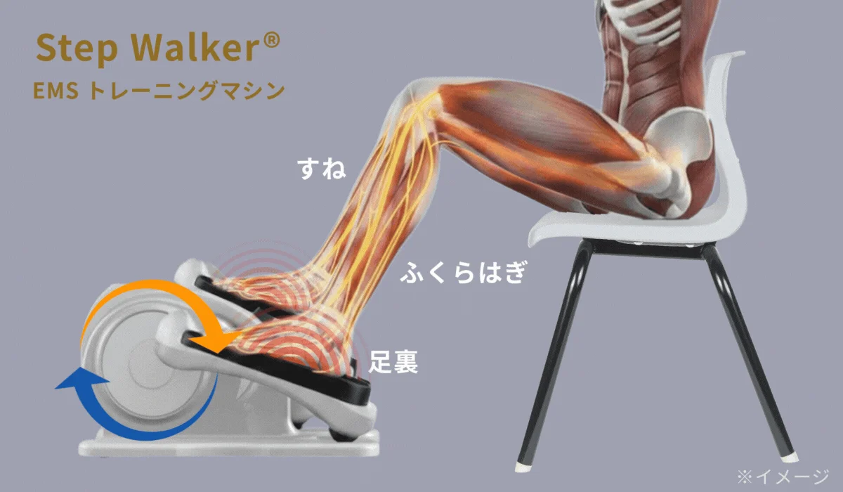 Person using Step Walker showing muscle groups