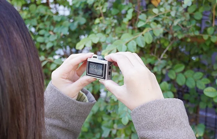 Woman holding the camera, photographing leaves