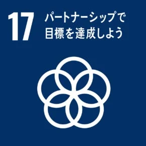 SDG 17 Icon