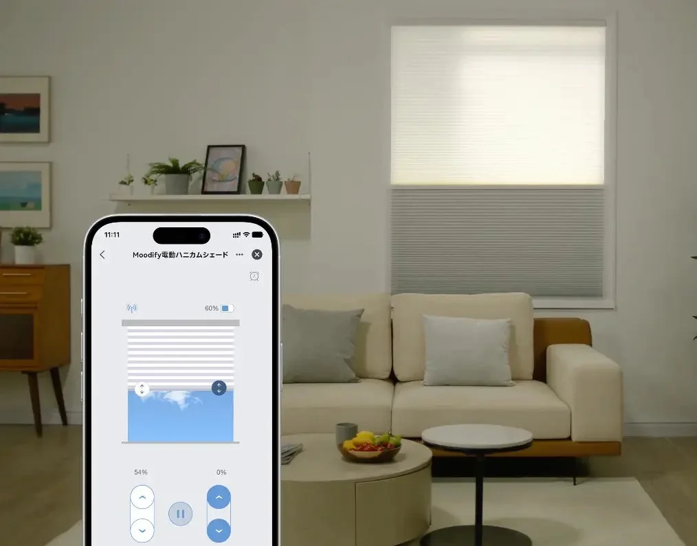 Smartphone App Control