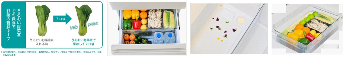 Moisture Vegetable Compartment