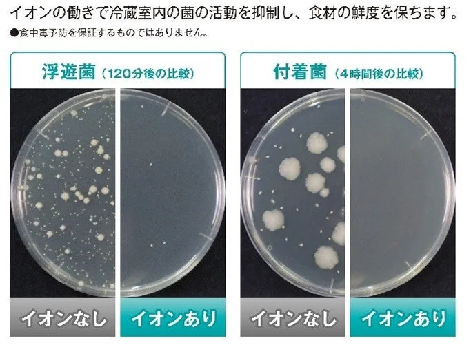 Ion Sterilization Effect