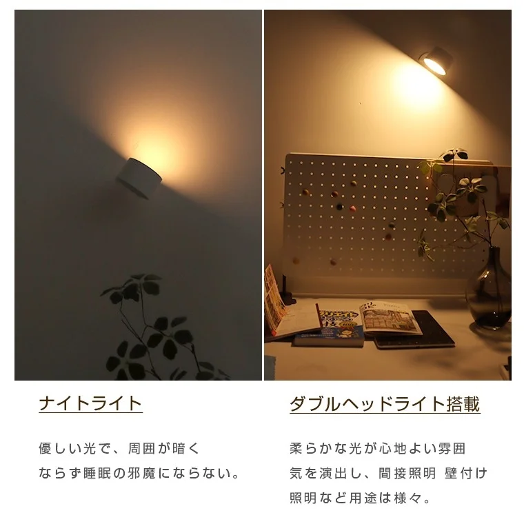 Dual light functionality