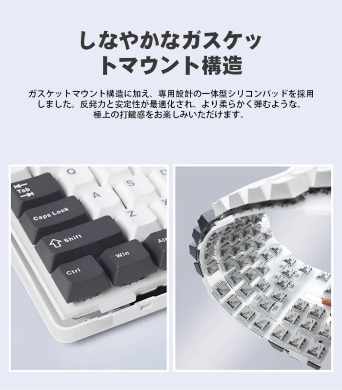 Gasket mount structure
