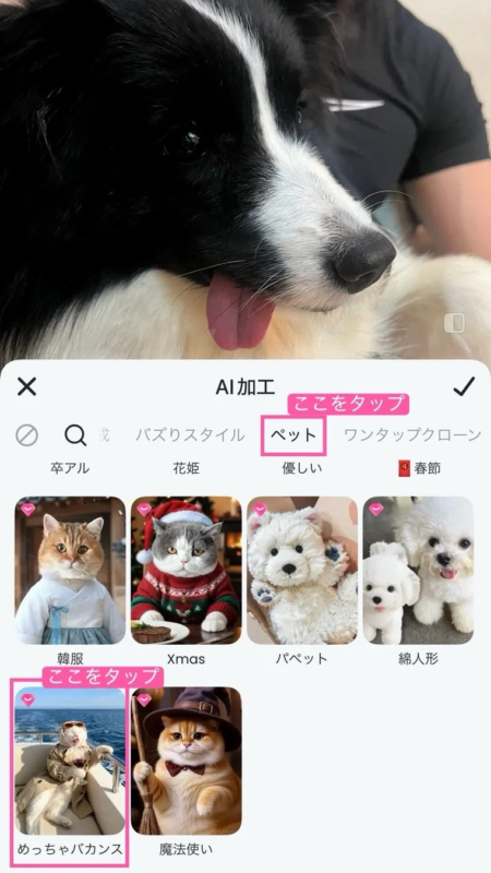 Select "Pet" and "Meccha Vacance" Option