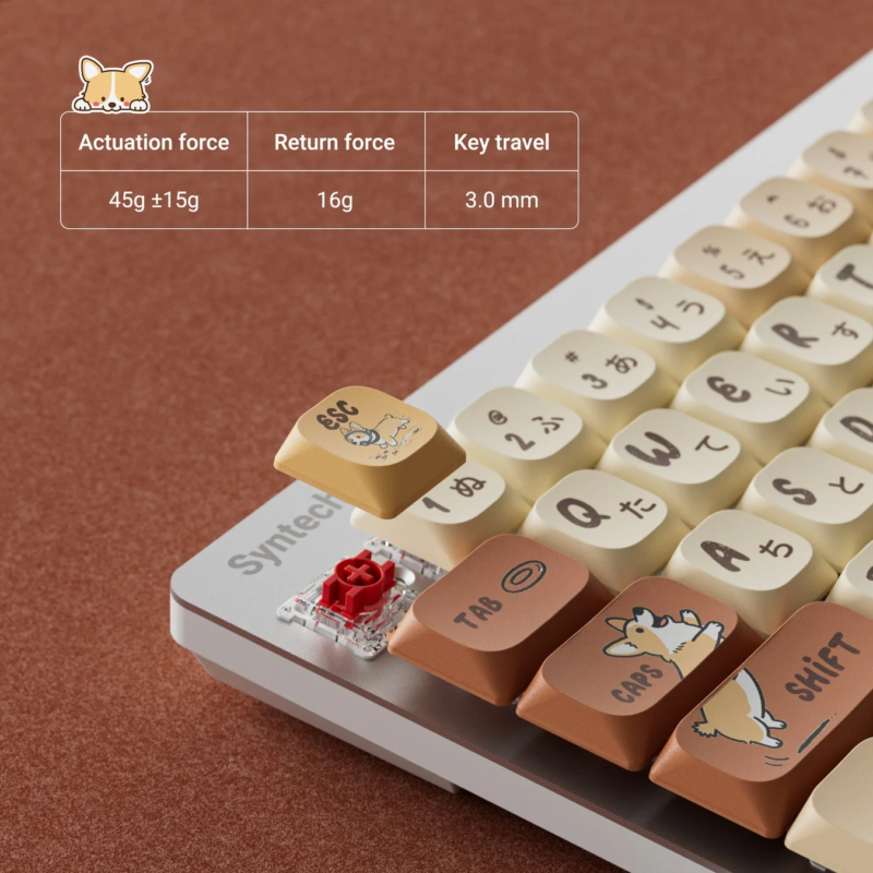 Close-up of keyboard switches and keycap design