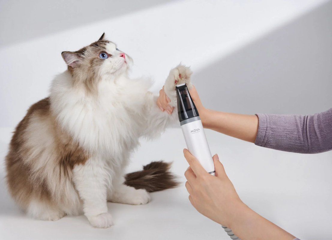 Cat being groomed with MOVA G1 Pro
