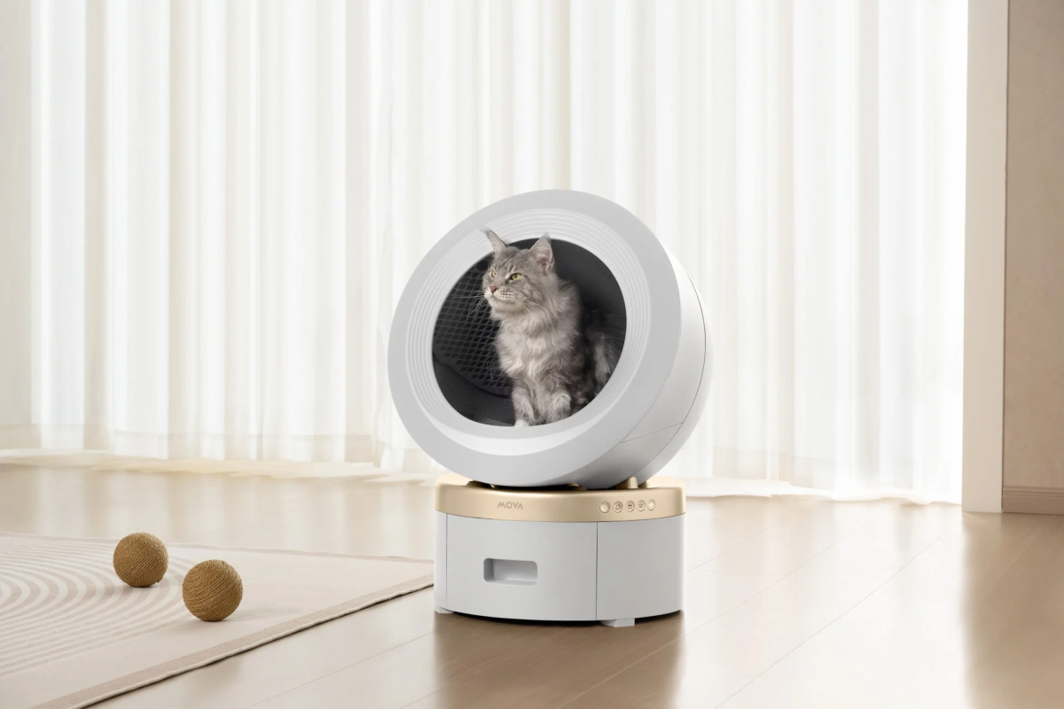 Cat inside MOVA LR10 Prime