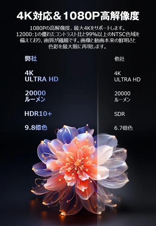 4K/1080P Resolution Comparison