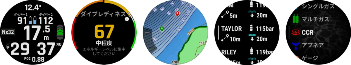 Dive Computer Display with Data