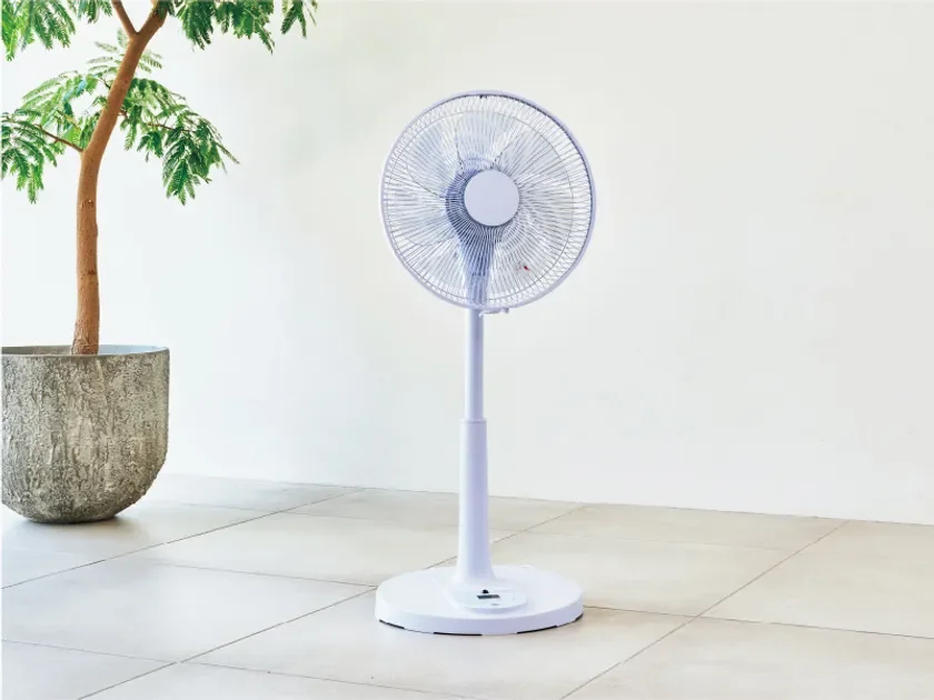 Lavender-inspired purple fan