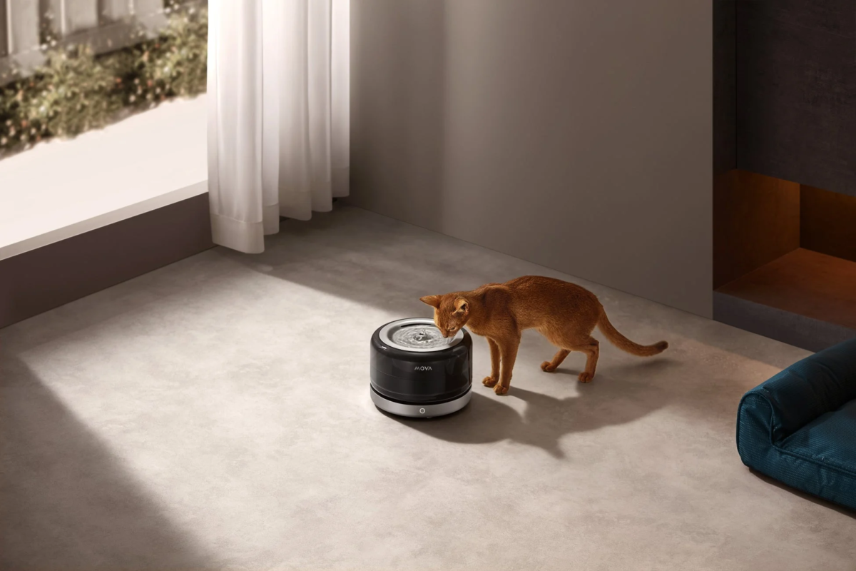 Cat drinking from MOVA WF20 Pro