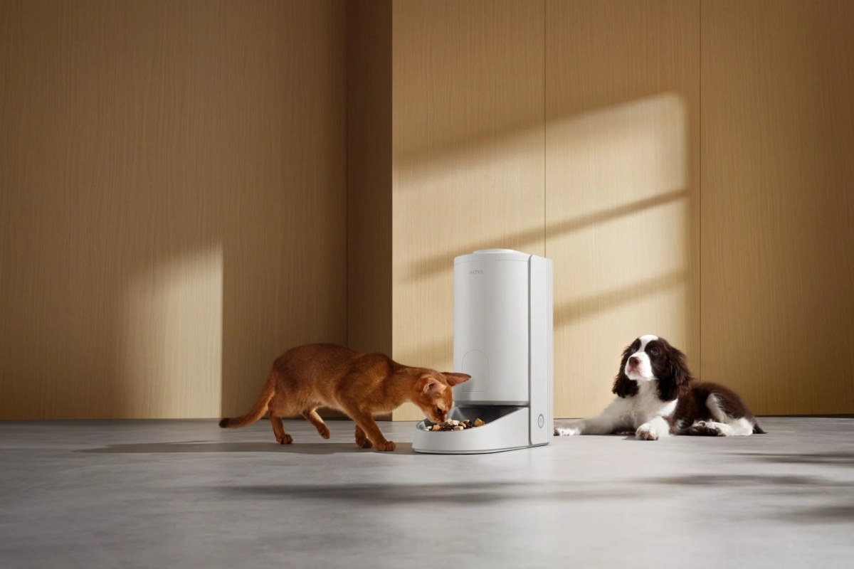 Pets eating from MOVA PF10 Pro