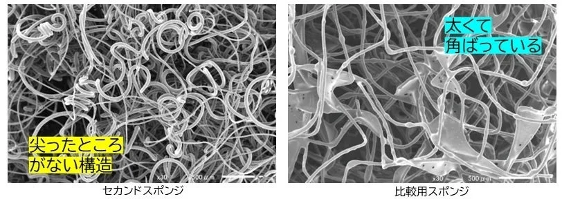 Microscopic view of coil fiber vs comparison sponge
