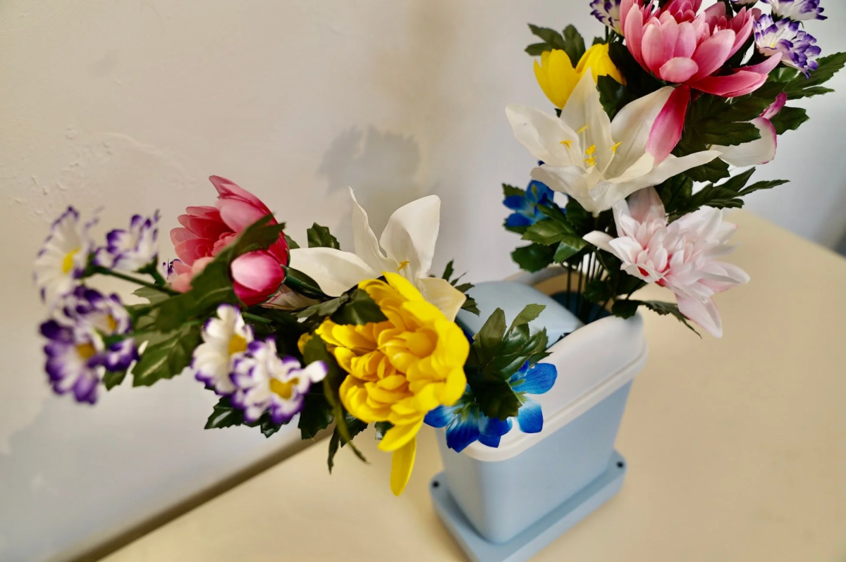 Flowers in Gomiba GO!