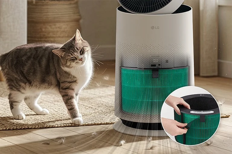 Cat with air purifier, showing hair capture