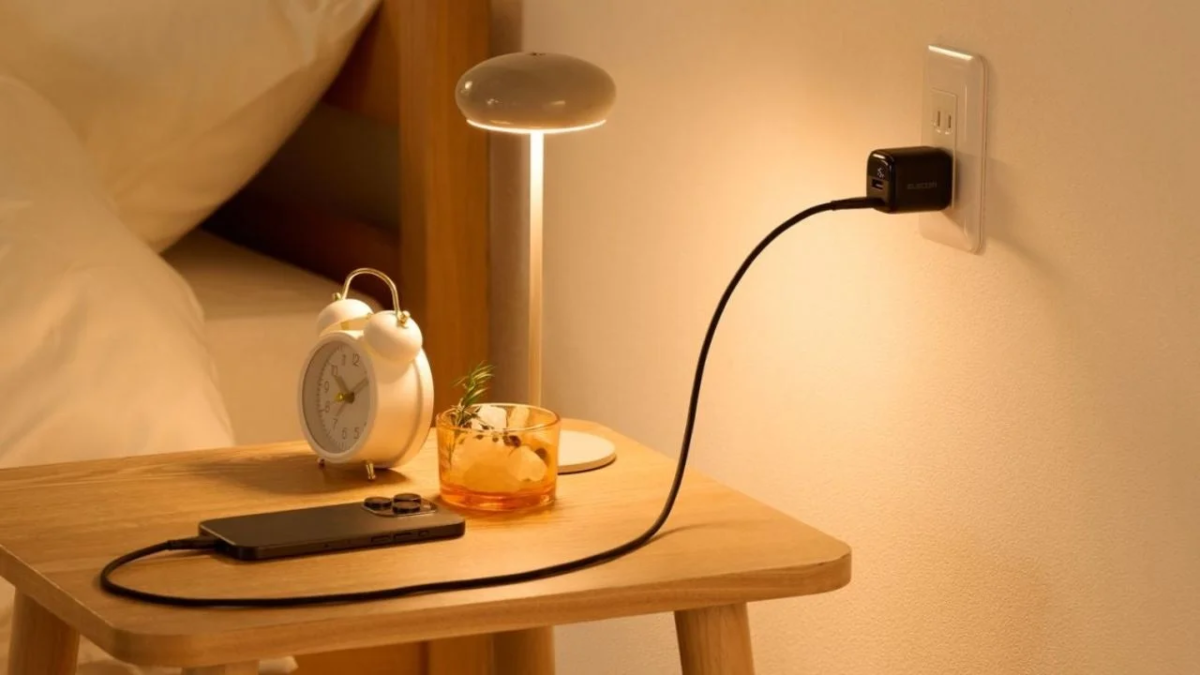30W Charger in Use