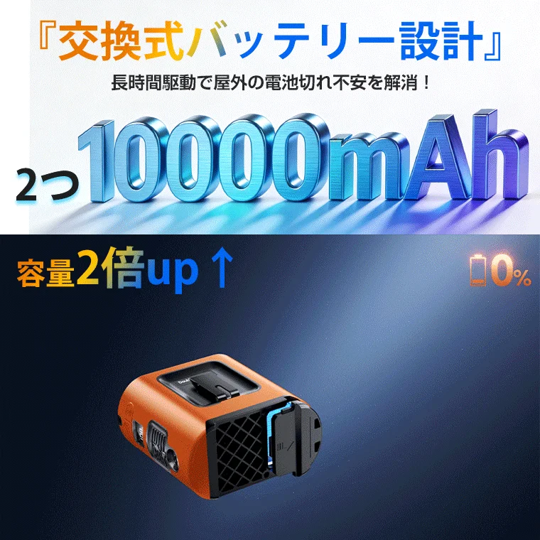 Replaceable Battery Design