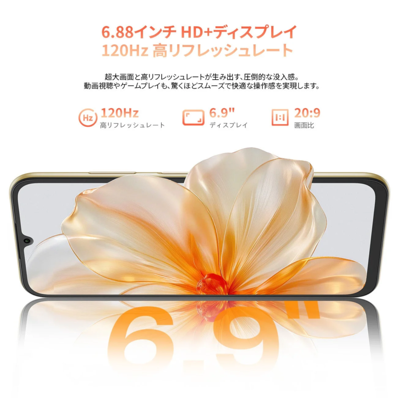 Large Display