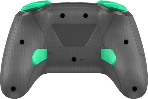 Gaming Controller HG smart back view