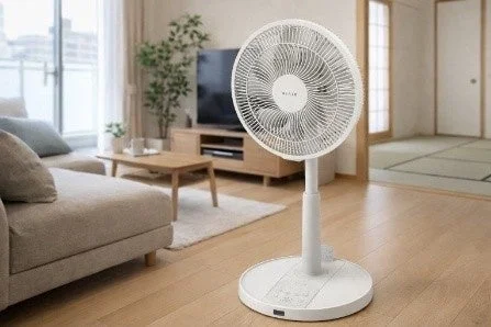 DC Motor Living Fan