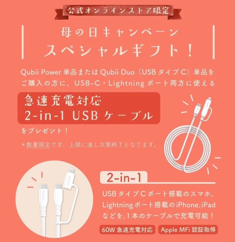 Special Gift 2-in-1 USB Cable