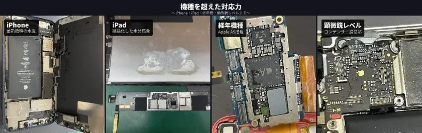 Diverse Repair Capabilities