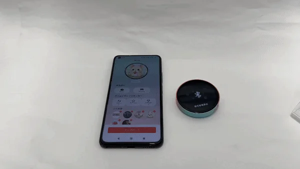 Smartphone App Interface