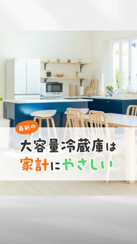 Modern kitchen with a large refrigerator, emphasizing its budget-friendly nature.