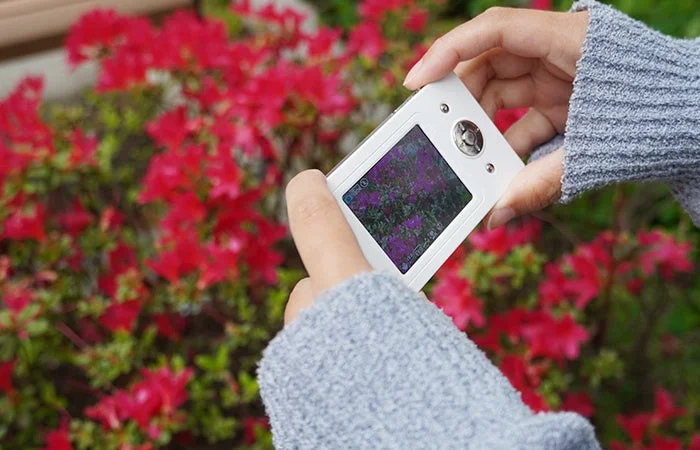Hand holding Leaf Camera towards red flowers
