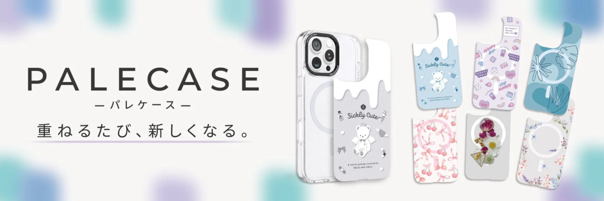 PaleCase Concept