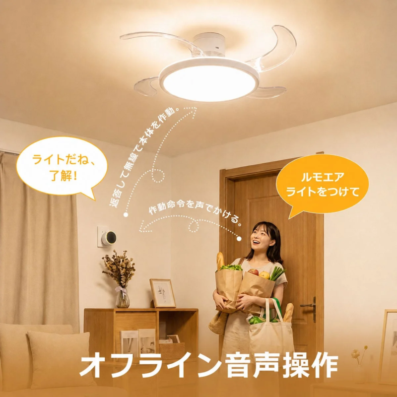 Offline Voice Operation