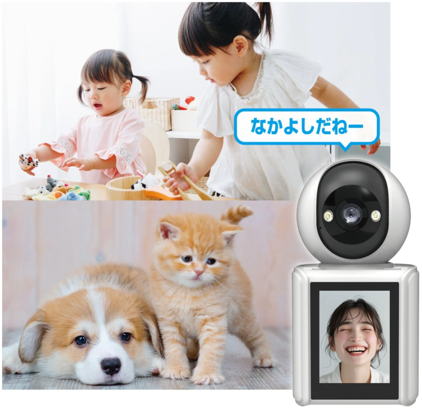 Family and Pets Monitoring Scene