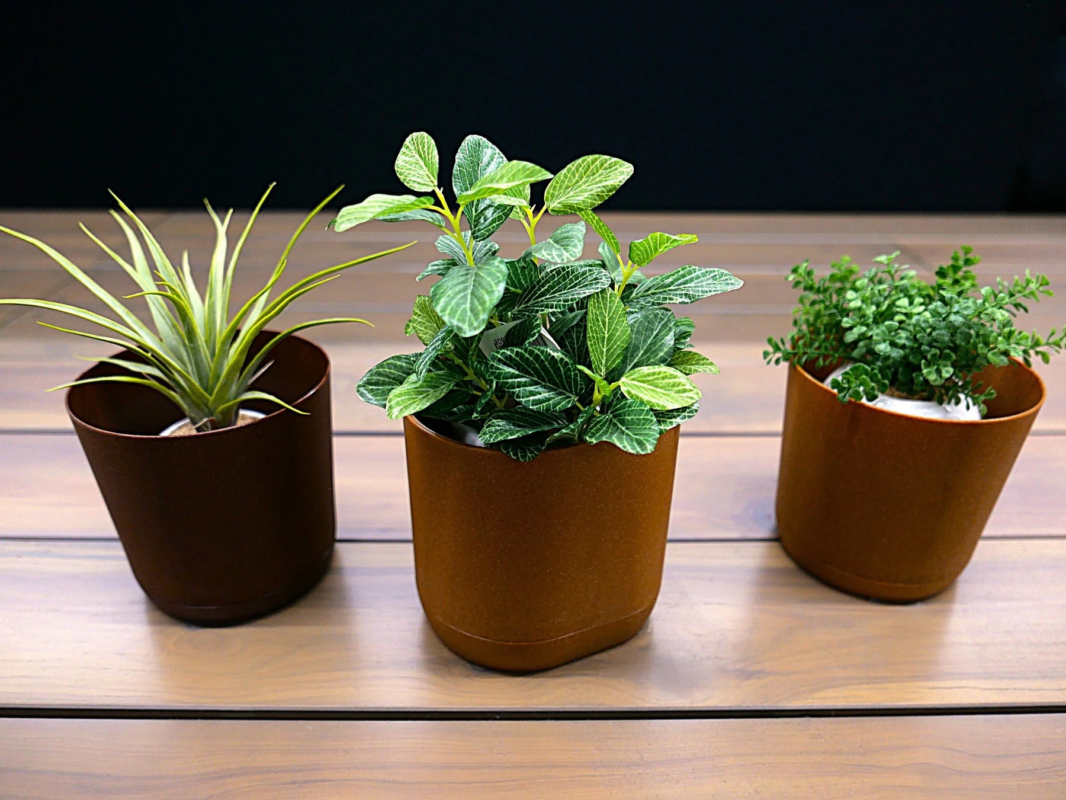 Cedar/Hinoki Planters