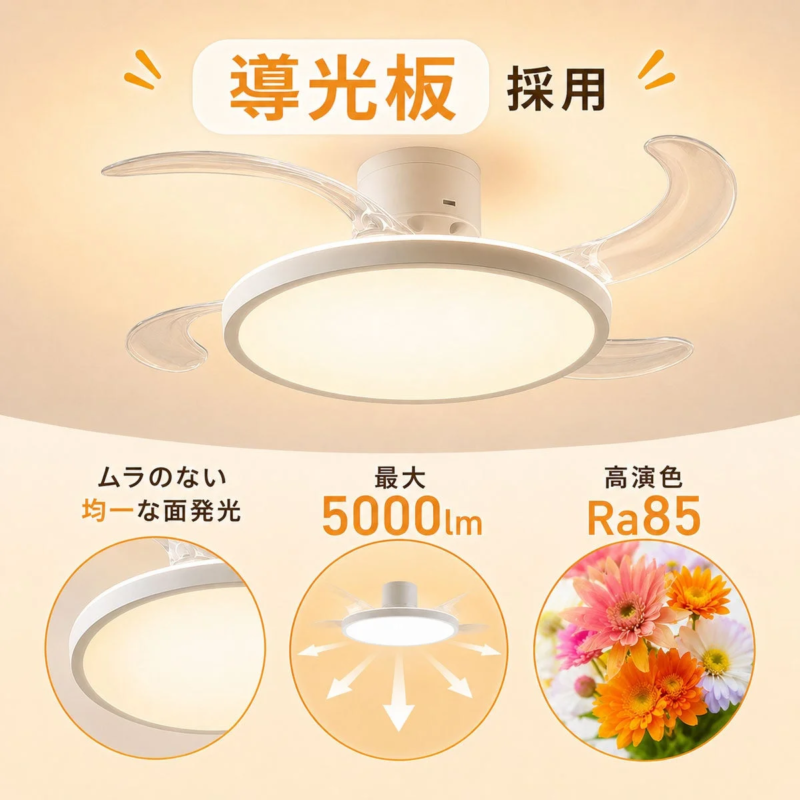 Light Guide Plate Illumination