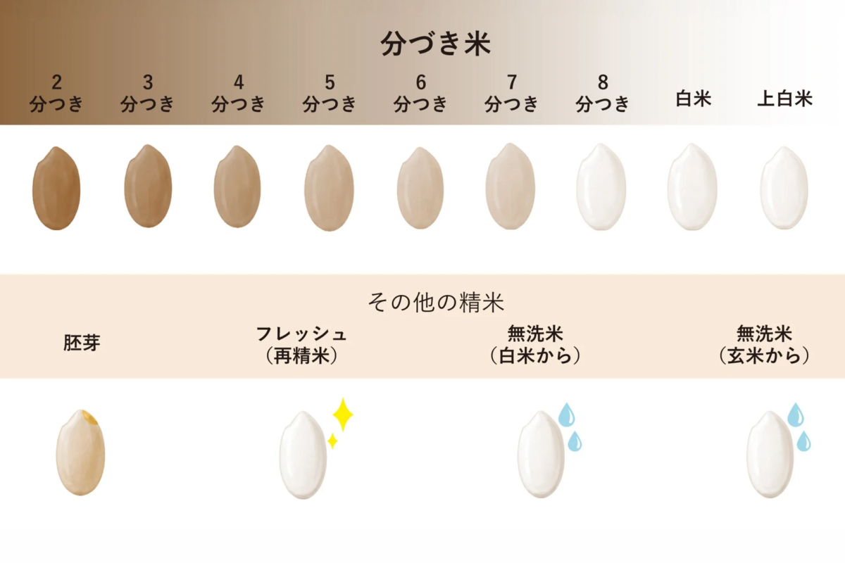 Comparison of different rice milling levels
