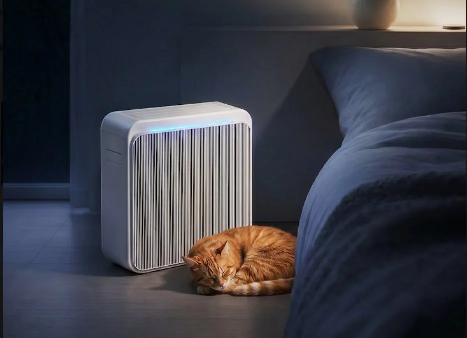 Cat sleeping next to Apolnus One X